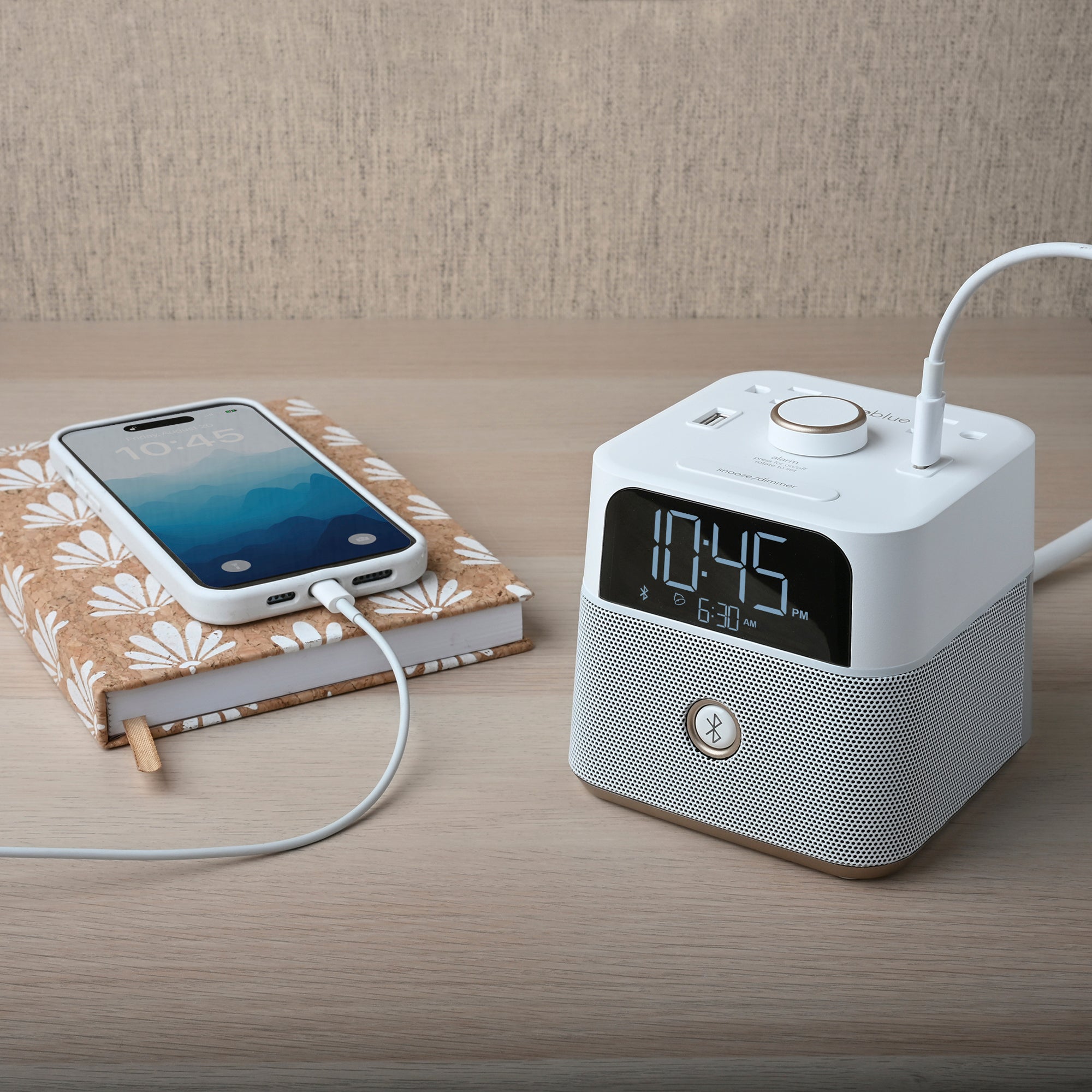 gid://shopify/MediaImage/36724638482647