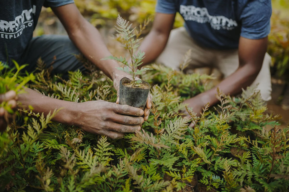 files/Nonprofit_changemaker_award_one_percent_for_the_planet_1200x_55d33508-1b29-4f3a-a3e0-daab00a7bbf1.jpg